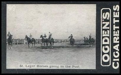 02OGID 99 St. Leger Horses Going to the Post